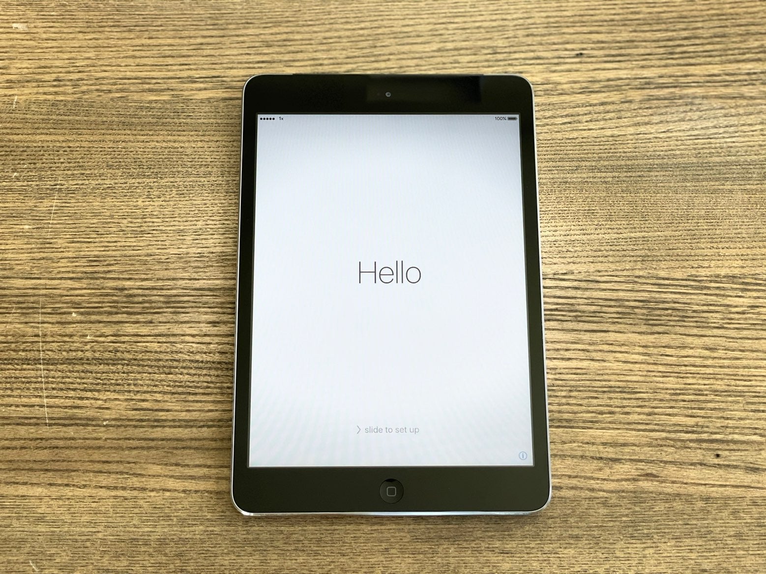 Apple Ipad Mini With Free Case