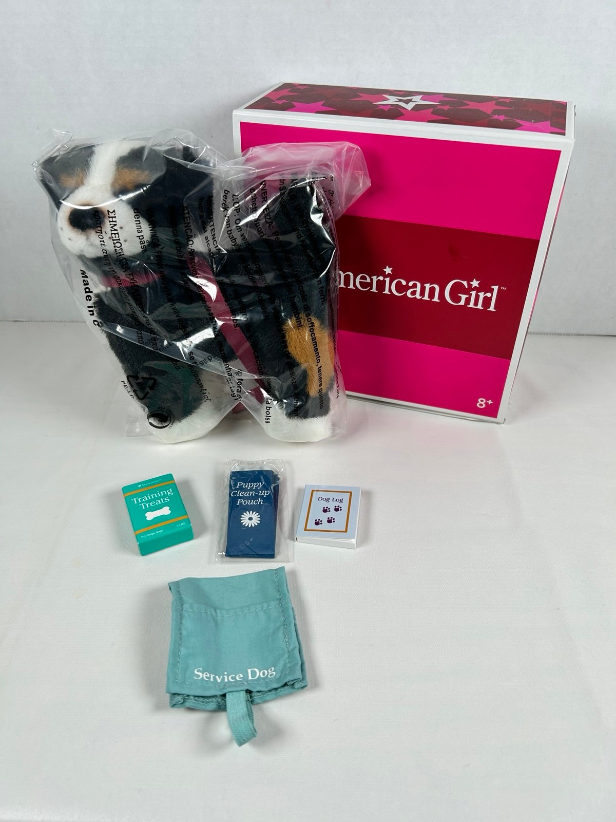 American Girl Nicki’s Dog-In Training