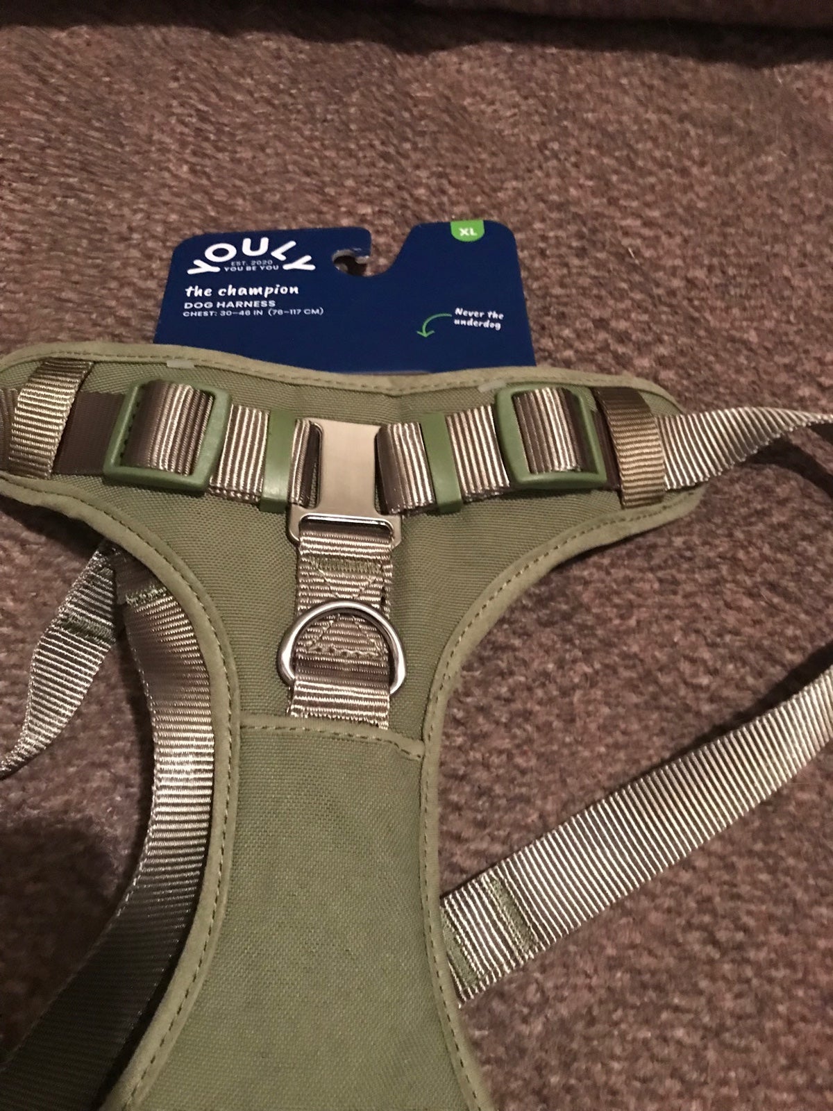 Green Dog Harness XL