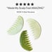 NWT Act + Acre Gua Sha Scalp Tool