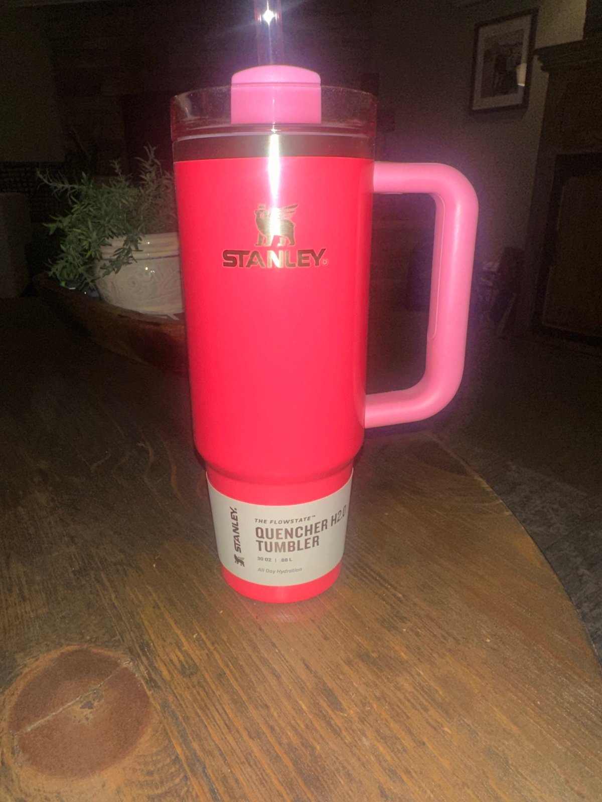 Stanley 30oz Pink Adventure Quencher H2.0 Tumbler