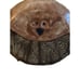 Hoot Hoot Hollow Creek Pottery Ceramic Owl Flower Frog - Makeup Brush Holder