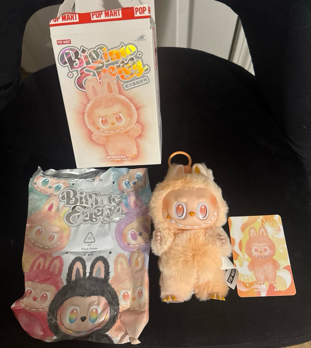 Labubu Big Into Energy Happiness