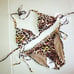 PQ SWIM Link Triangle Top & Rings Tie Bottom Bikini Set Leopard MEDIUM M/M 172