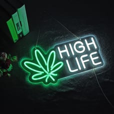 Neon Sign LED Dimmable for Art Wall