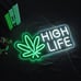 Neon Sign LED Dimmable for Art Wall