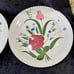 Vintage Blue Ridge Southern Pottery Bluebell Bouquet Dinner Plates 3