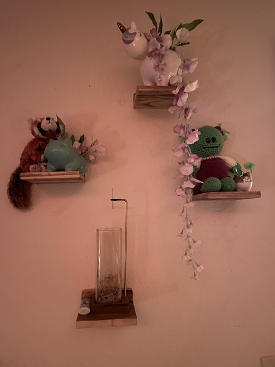 Fixwal Floating Shelves for Wall, Rustic Wood Small Wall Mounted Shelves