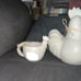 Rae Dunn Farm Collection -Rooster Canister & Matching Mug “Farm Life” New!