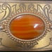 Vintage exotic natural red gemstone tiger’s belt buckle