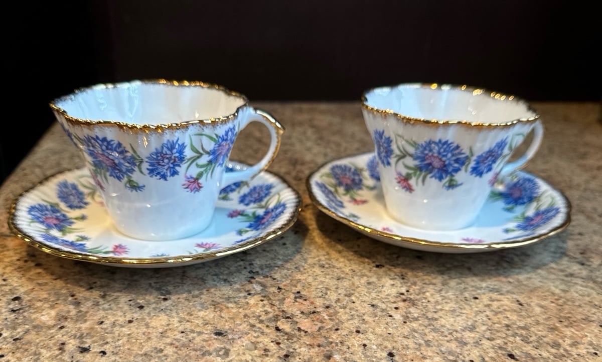 Salisbury UK Salisbury Harvest Time 2 Cups & 2 Saucers