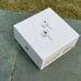 Airpod pros Magsafe case