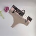 Medium NWT Calvin Klein mid-rise 3pack Thong Wide Band