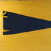 Vintage Northwest Christian University Felt Pennant Flag