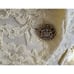 NWTSandra Darren 2-PC Ivory Lace Lined Stretch Pant & Jacket Suit Cocktail SZ 10