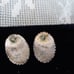 Nakai Sterling Native American Earrings
