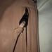 Joelle Hawkins Messenger Bag (E)