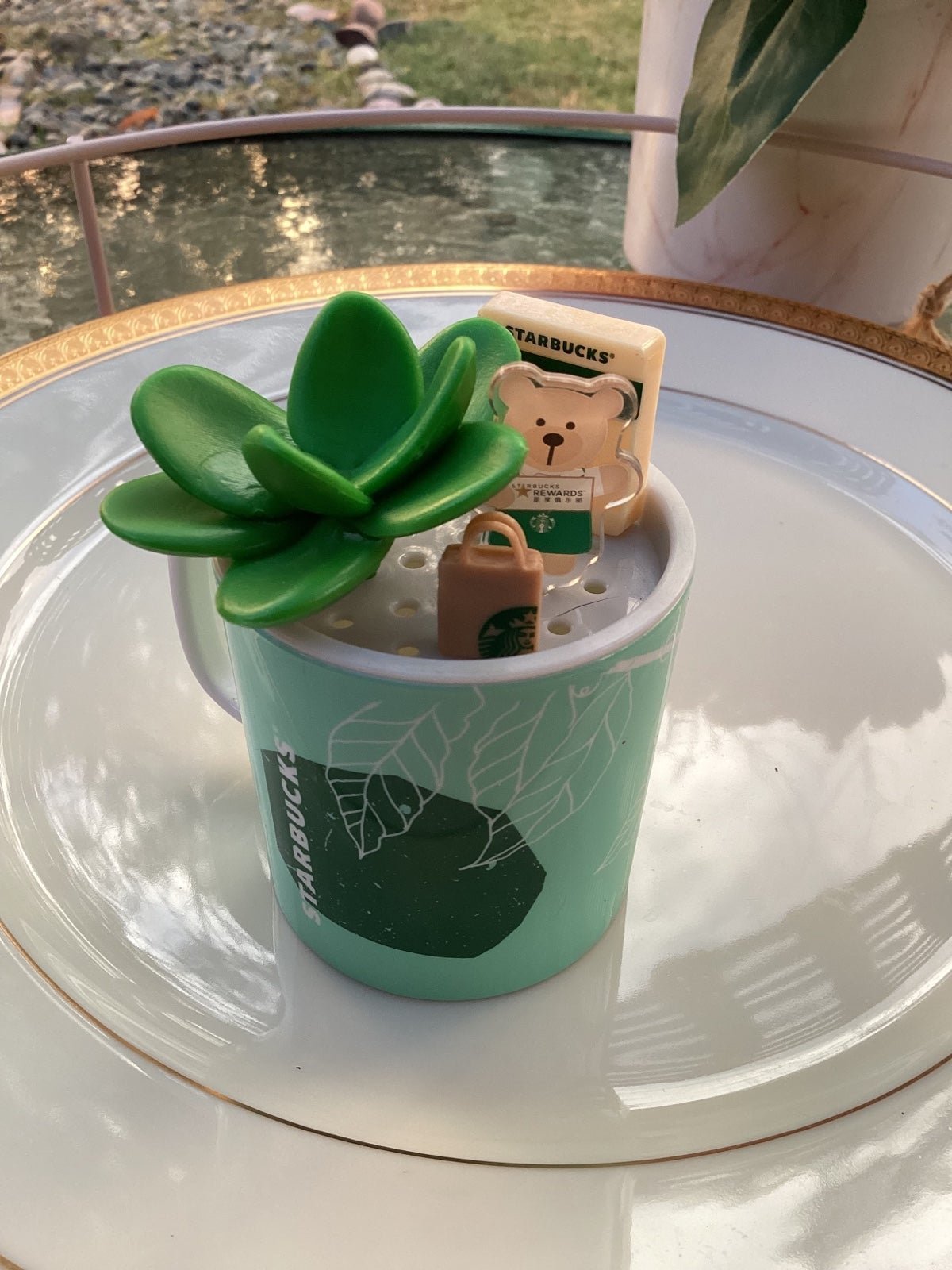 Starbucks Mini Succulent Mug