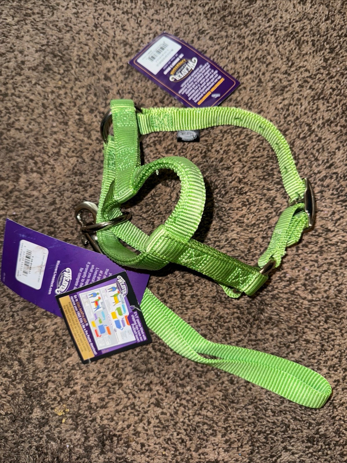 Goat halter (s) and 8“ loop lead NEW