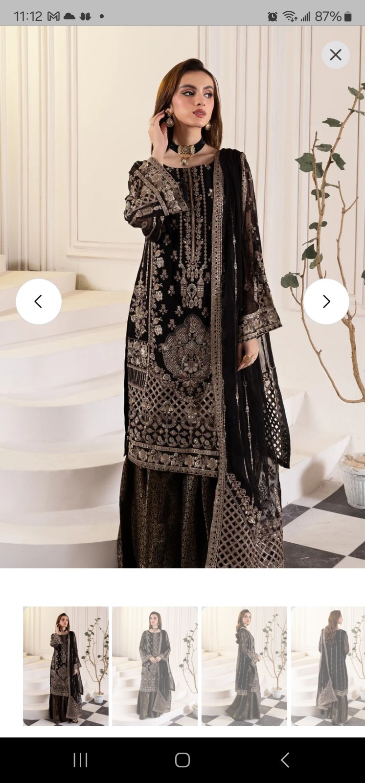 Pakistani fancy dress