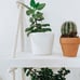 Bathroom shelf, floating shelf, hanging shelf, rope shelf, wooden home decor