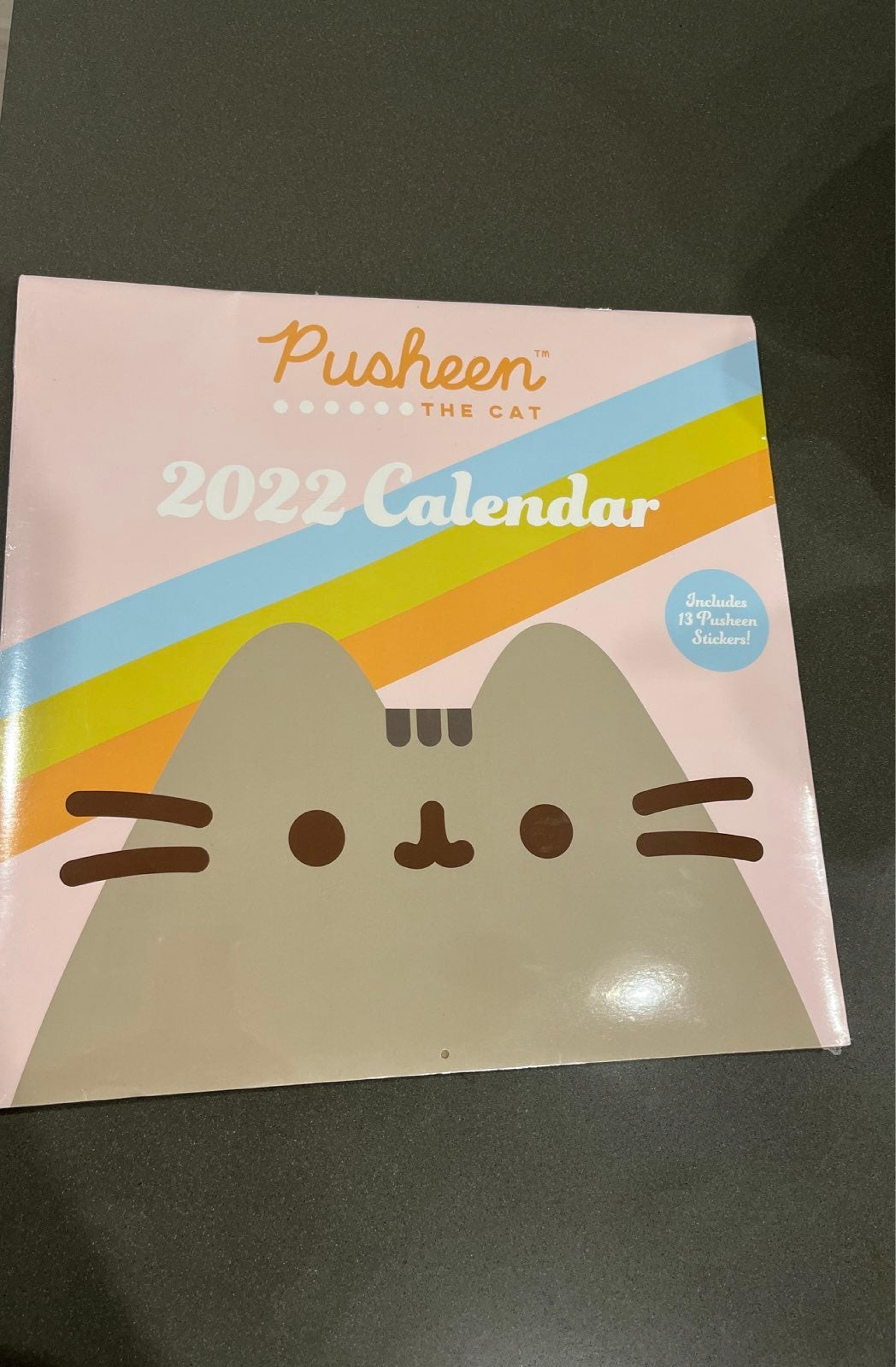 Pusheen Wall Calendars Mercari