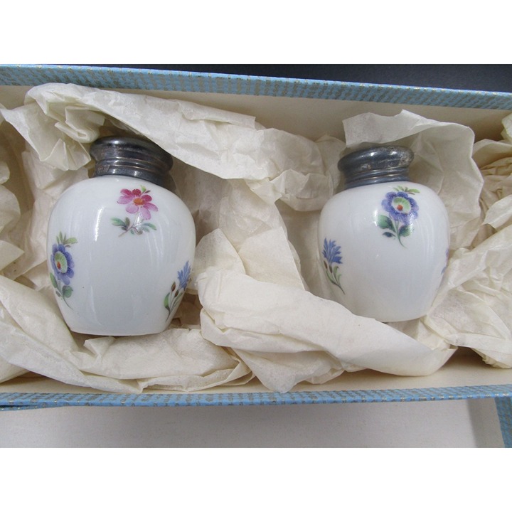 Vintage E Albrecht Switzerland Porcelain Salt & Pepper Shakers Floral Design
