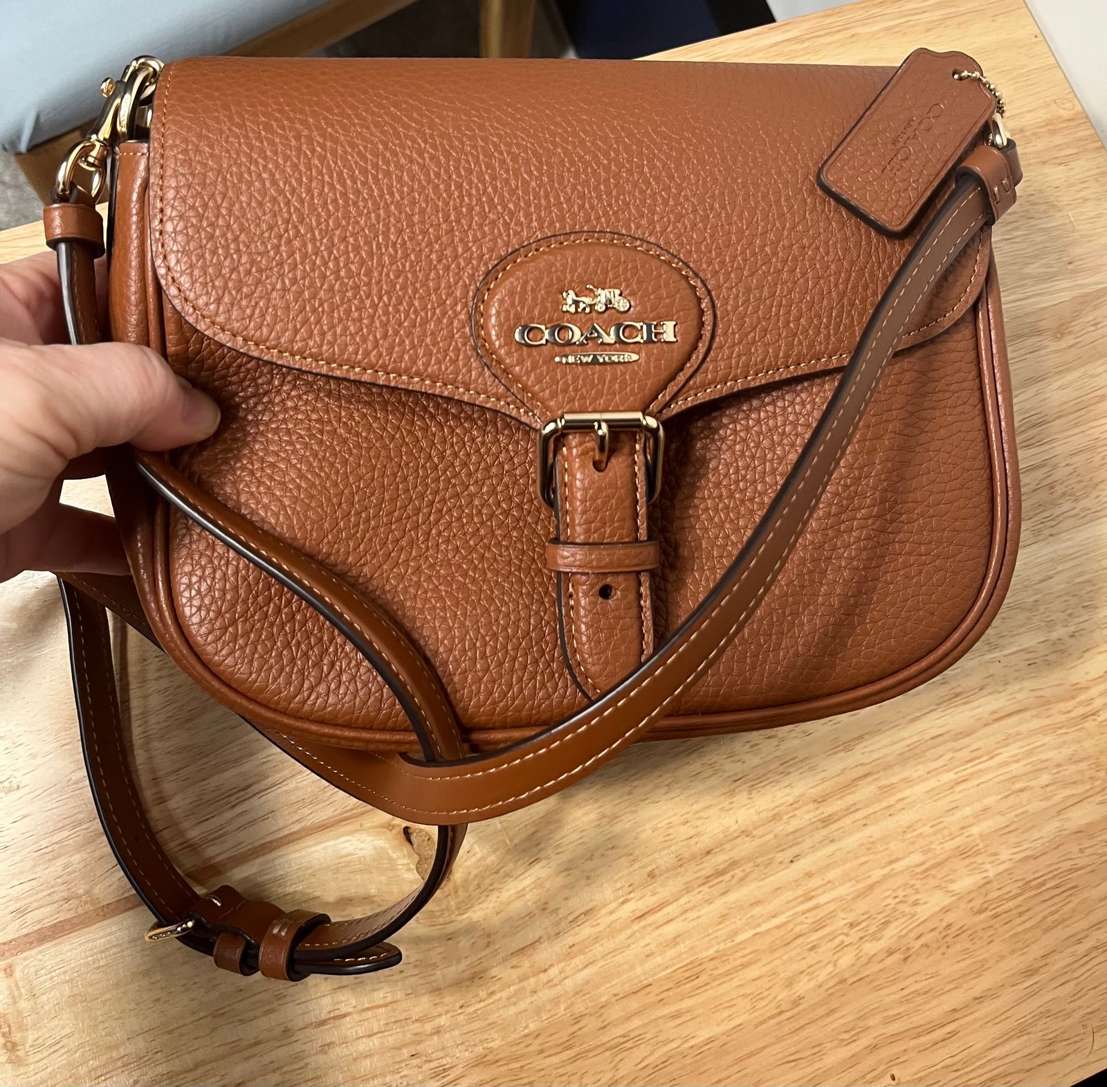 Coach Amelia Small Saddlebag with Gold Detail Leather