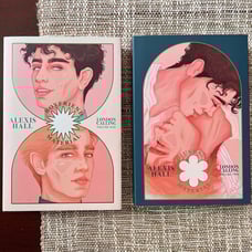 bookishbox boyfriend material and husband material LE london calling