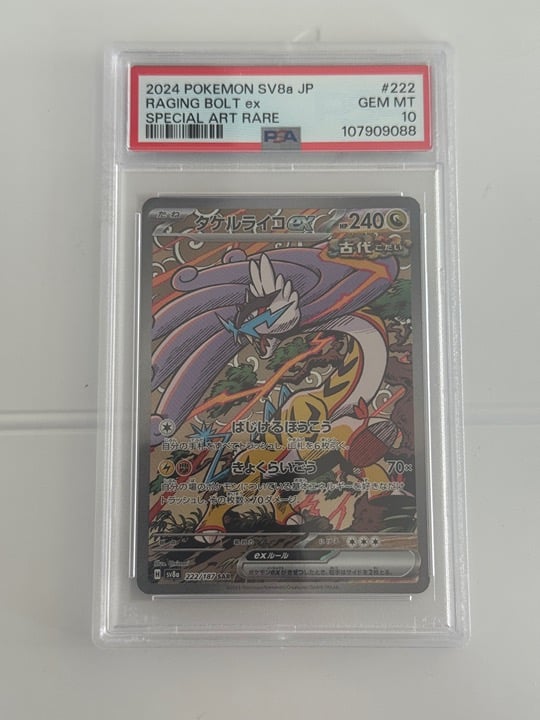 Raging Bolt SAR Terastal Festival PSA 10