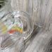 Vintage Pitcher & Tumbler Set, Cherries Hanging From a Branch Anchor Hocking