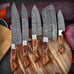 Kitchen Knives with Leather Roll Bag