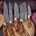 Kitchen Knives with Leather Roll Bag