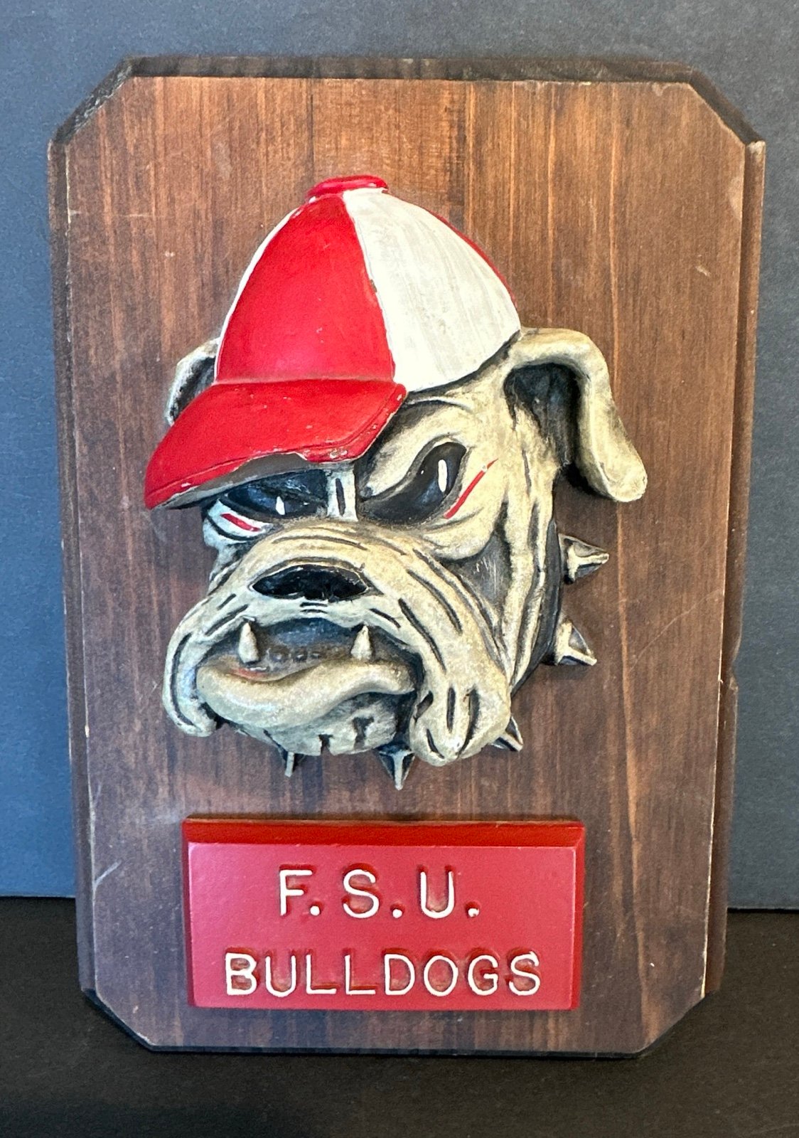 Vintage 70’s Georgia Bulldog Mascot Wooden Hanging Plaque 9.5”X6.5” Small Chip