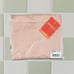 NWT Spanx OnCore High Waist Briefs