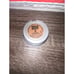 Urban Decay Eyeshadow X