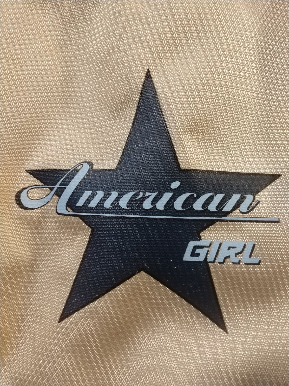 American Girl Bag Pack Carrier Tote
