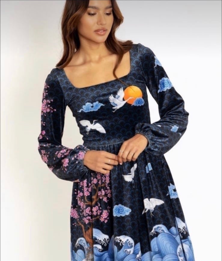 Flight of Tsuru velvet longline bishop dress