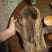 Drift wood