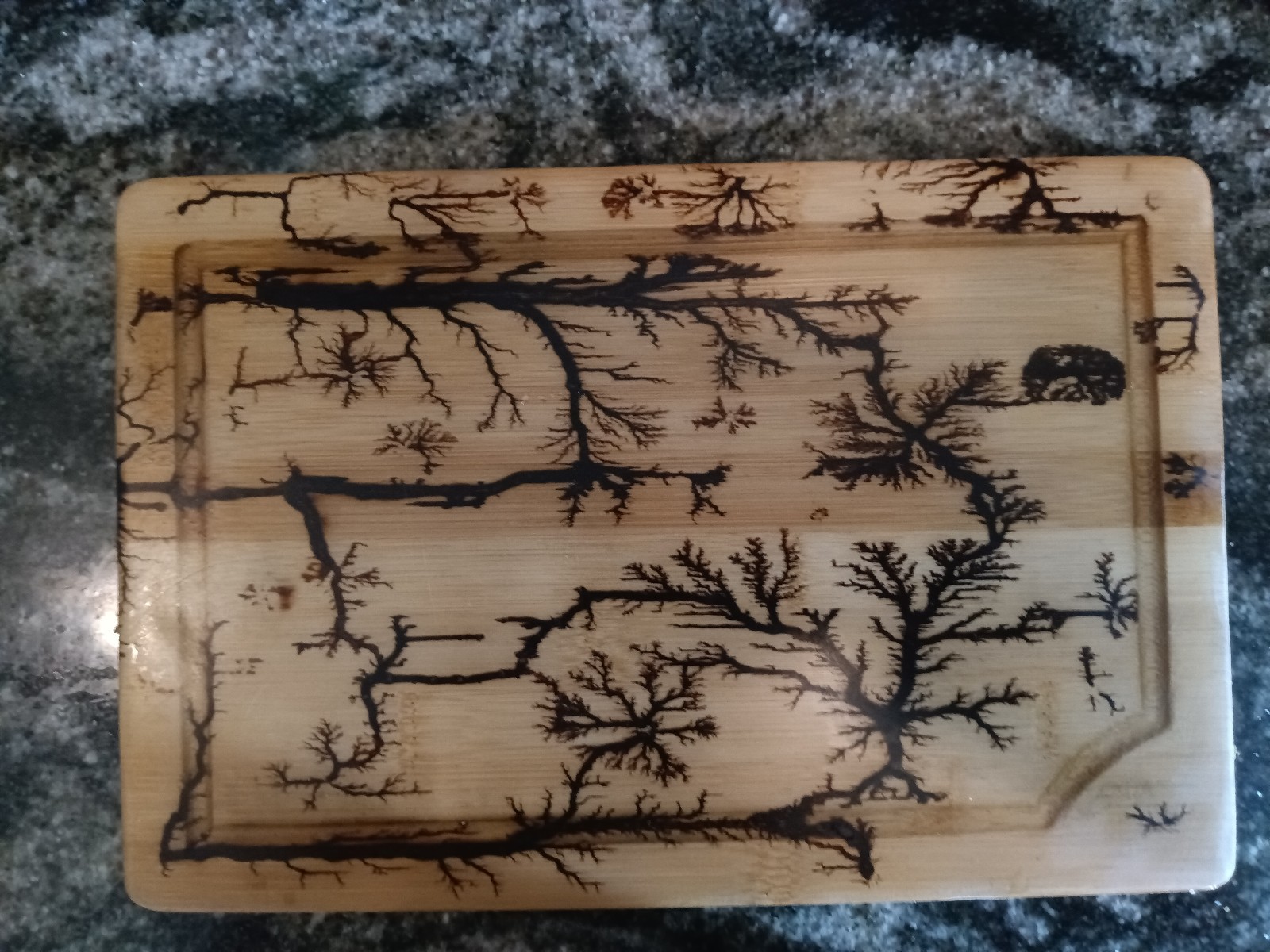 Fractal burnt cutting board layered with epoxy