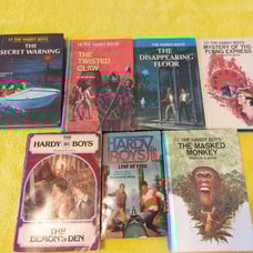 Hardy Boys Vintage Books 7 included