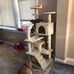 61 Inch Pet Tree Tower with Scratching Post, Play Center, Beige - NEW!