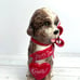 Blue Sky Valentines Day Dog Doodle New