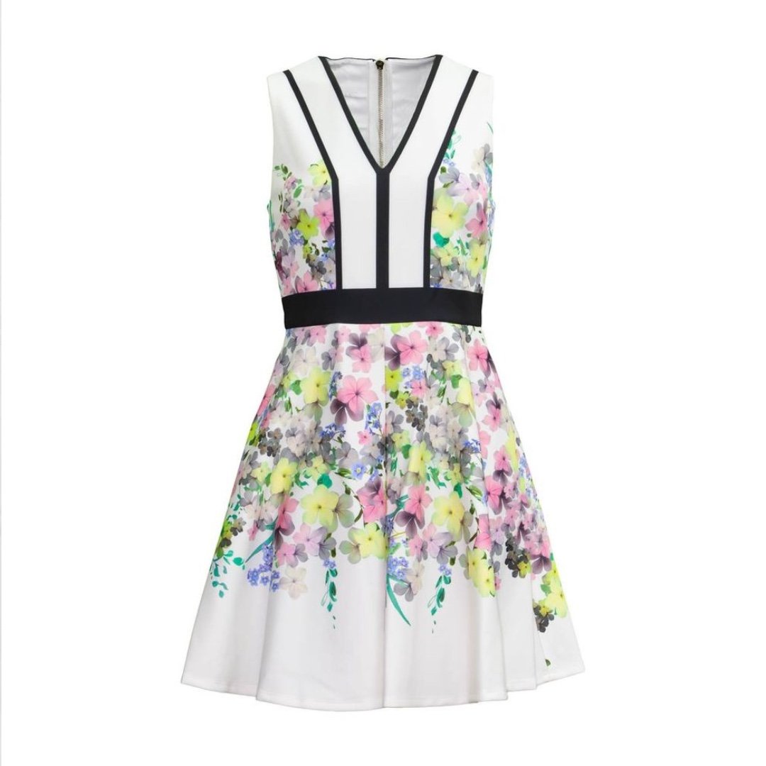 Ted Baker London Syrah Pergola Floral Printed Paneled Skater Ivory/Multi Dress