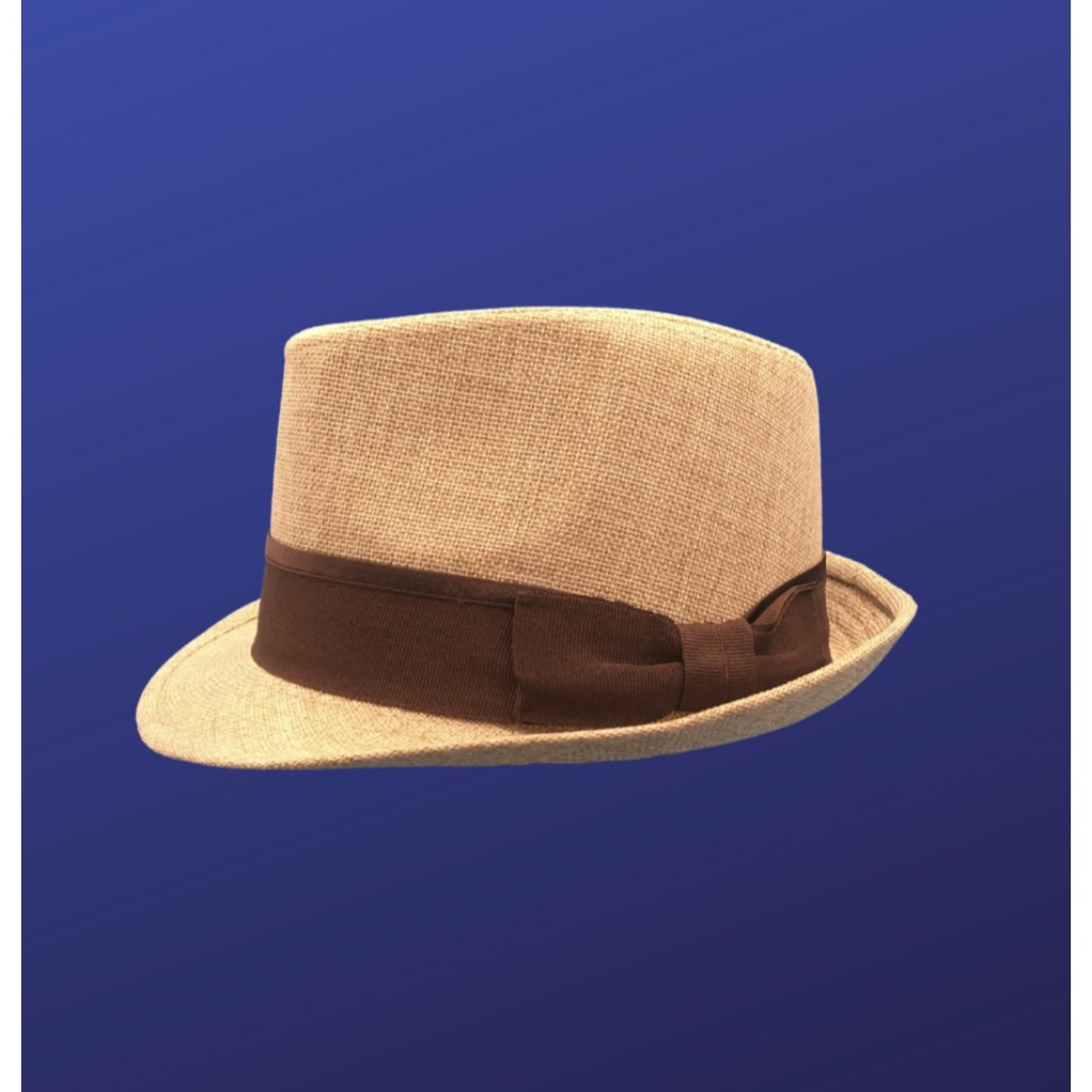 TARGET Womens FEDORA 100% Polyester Hat, Linen Look TAN/BROWN, One Size, NWOT