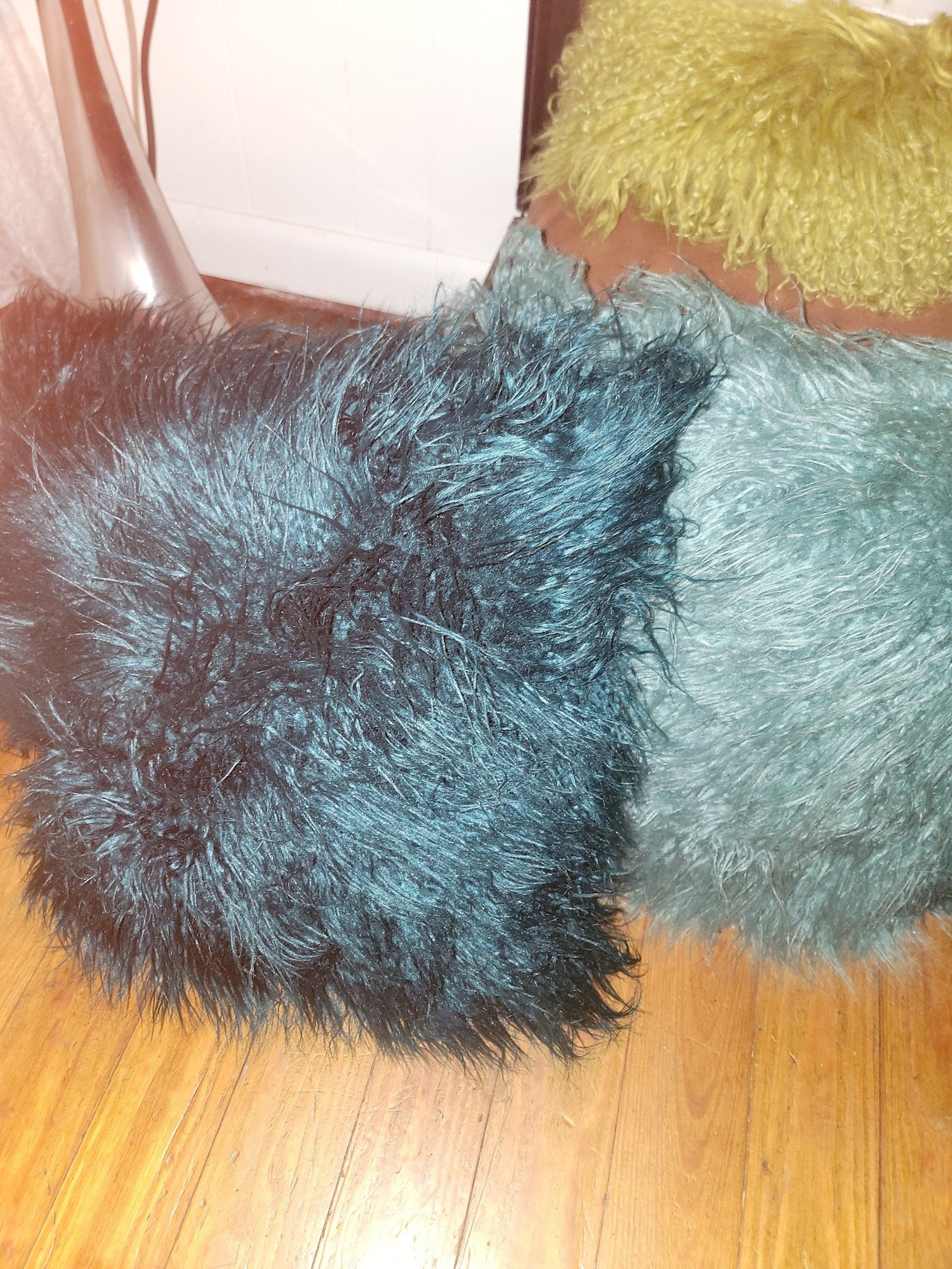 Furry Amebia Pillows