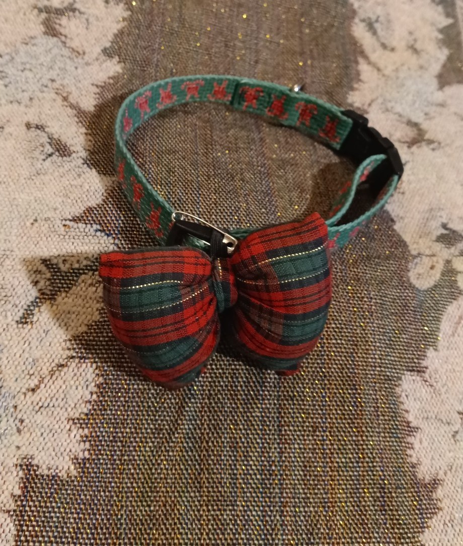 Holiday Dog collar