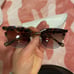 Ladies Tortiose Shell Sunglass Bundle of 6