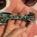 Ladies Tortiose Shell Sunglass Bundle of 6