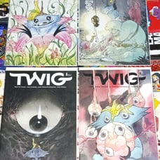 TWIG #1 2 3 4 (4 BOOK SET) 2022 IMAGE COMICS Peach Momoko Variant cover NM 1-4